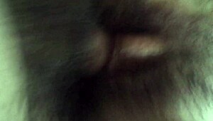 Close-Up View of Ex-Wife's Intimate Area