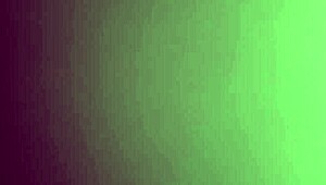 She gets her pussy fucked hard