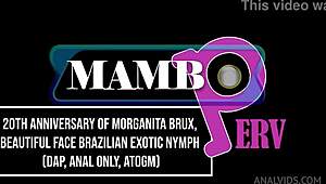 20Th Anniversary Of Morganita Brux Beautiful Face Brazilian Exotic Nymph Dap Anal Only Atogm Real Anniversary Monst