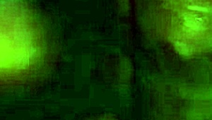 My dick-sucking vixen can't get enough of sloppy blowjobs