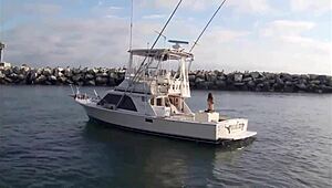 Super shark bikini girl on boat