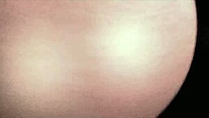 compilation cucumber and doble penetration