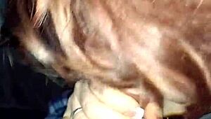 video from february 4th 2017!