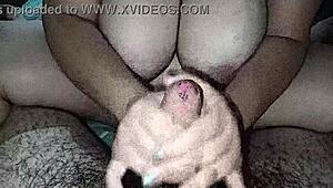 huge boobs stepsister jerks me off then we fuck hard