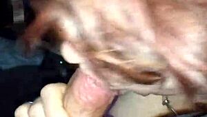 video from february 4th 2017!