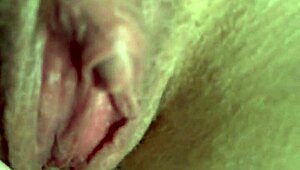 Window Pussy Flashing