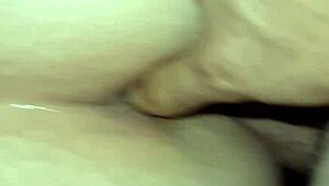 hey babe ever tried fingering your bbw wife's fat ass for some horny anal play?