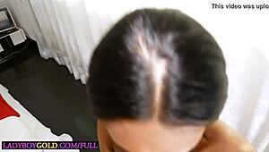 big cock thai shemale teen fucked bareback anal doggystyle creamy