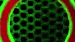 hey vicky vette do you love stripping sexy lingerie costume outdoors to rub big clit pussy?