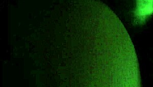 Plump Ass Sways Suggestively