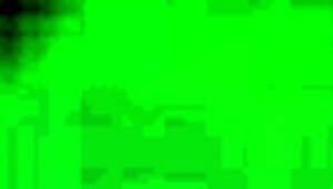 Wife strokes black cock fast for quick cum explosion handjob