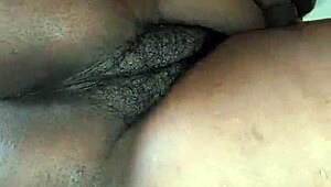 wanna bang this fat curvy boss wife while she's sleeping next door