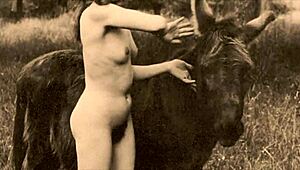 Vintage TABOO PUSSY Bent Over DOGGYSTYLE with HAIRY Beaver