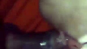 begging in tears not to lick the shitty cock straight from ass?