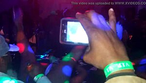 cherise roze teases stripping at philadelphia halloween lounge party