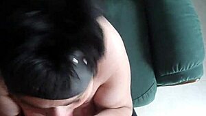 amateur wishes you happy new year 2019