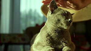 Quick Fixes for Early Cumshots