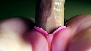 Pink pussy milf sucks huge oiled cock missionary creampie quickie bedroom fuck