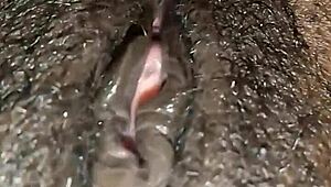 dirty hairy pussy maid slut pees in thong panties indoors