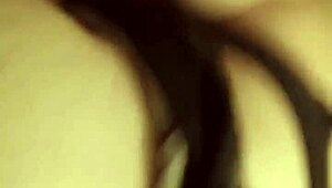 couple's big ass amateur babe rides until creampie finishes the homemade drive home