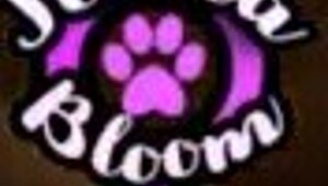 big dick trans jessica bloom edges cum on cookie then devours it hungrily