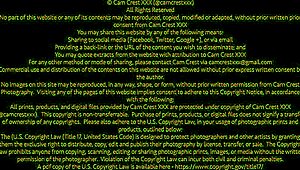 curious stepson tastes stepmom sexy fat pussy muscular goddess rough