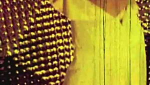 vintage hairy pussy threesome retro group beaver