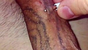 close view of my huge cock's multiple piercing holes
