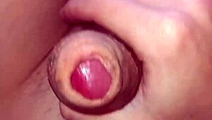 close view of my huge cock's multiple piercing holes
