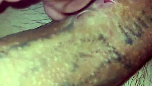 close view of my huge cock's multiple piercing holes