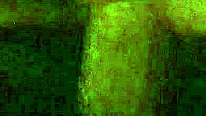 my latina girlfriend slurps interracial cock pov style