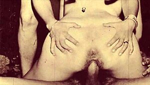 vintage hairy pussy threesome retro group beaver