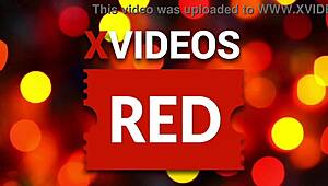Xvideos Red Showcases Cute Beautiful Music Vibes