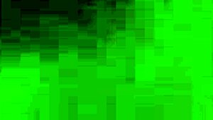 shaundam’s big black cock tempts fellatio master into cum feast