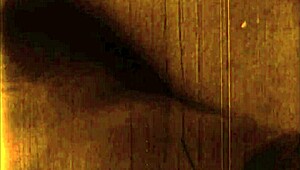 check out this hairy vintage beaver in erotic poses