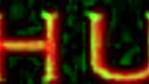 damn girl, that slim african ebony gets her wet pussy wrecked by monster black cock 😩💦