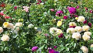 back in college my indian friend finally fucked me after hanging out with our group