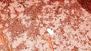 stepmom catches me in her car then surprises with outdoor anal squirting creampie