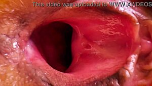 Ready to Beat Big-Nippled Virgin Stepsis at Cards?