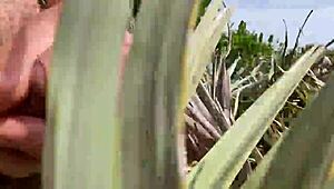 Clitlicker662 Shares Update 40 Image 1437 June 2025