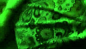 Huge natural tits bounce as she squirts everywhere!