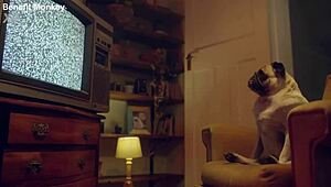 Candee Licious and Lili Charmelle's toy threesome explodes