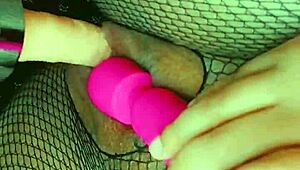 Admire this fat pregnant pussy up close