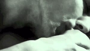 Dark Lantern Unveils Dragonfly's Retro Beaver Orgy Secrets