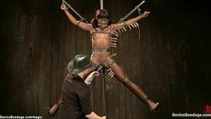 Blonde and Ebony Bound in Device Tension