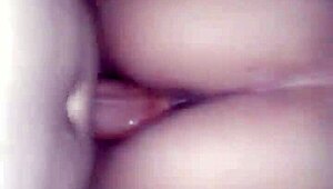 Venezuelan latina's huge ass bent over doggystyle hammered by monster cock in hotel room