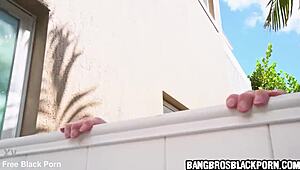 boy pounds black milf's huge ass and boobs hard!