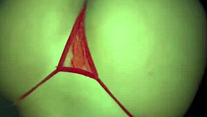 wife cums hard on black cock at gloryhole swinghouse