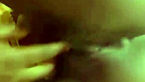 Nigarchrist Update 1292 Petal June 1 2025