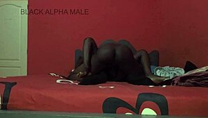 hot sun sweat during rough hairy bbc pussy pounding full vid